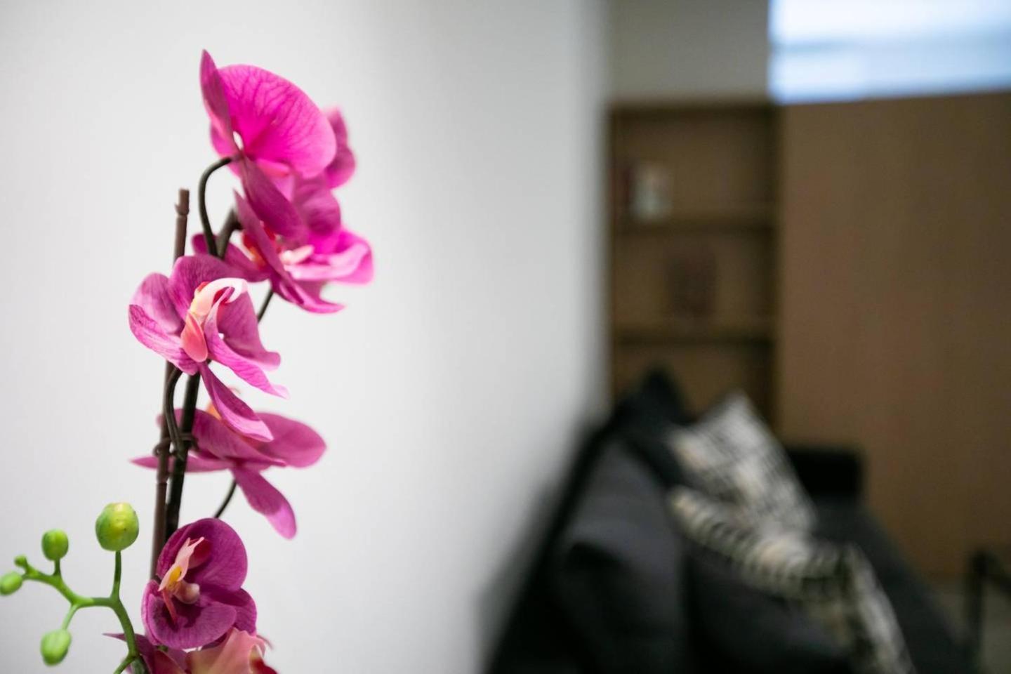 Toni'S Studio Syntagma, 1 Min From Metro Station Atena Exterior foto